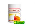 KokciFos 100 Mineral supplementary feed for poultry 150g